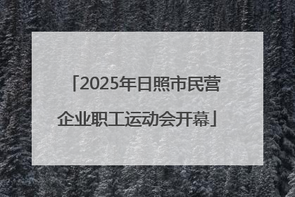 2025年日照市民营企业职工运动会开幕