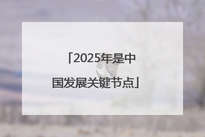 2025年是中国发展关键节点