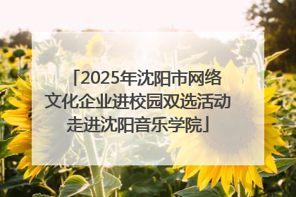 2025年沈阳市网络文化企业进校园双选活动走进沈阳音乐学院