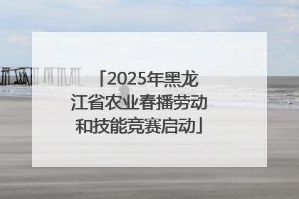 2025年黑龙江省农业春播劳动和技能竞赛启动