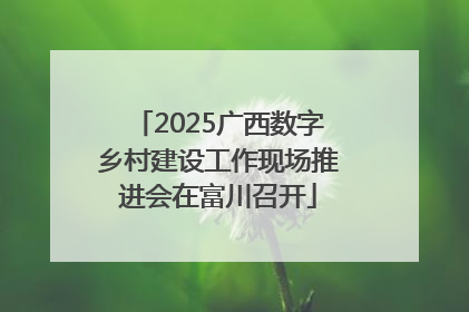 2025广西数字乡村建设工作现场推进会在富川召开