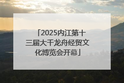 2025内江第十三届大千龙舟经贸文化博览会开幕