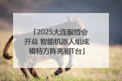 2025大连服博会开幕 智能机器人组成模特方阵亮相T台