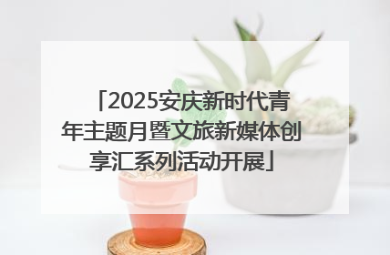 2025安庆新时代青年主题月暨文旅新媒体创享汇系列活动开展