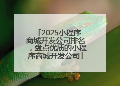 2025小程序商城开发公司排名，盘点优质的小程序商城开发公司
