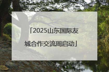 2025山东国际友城合作交流周启动
