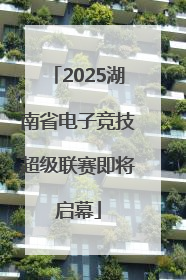 2025湖南省电子竞技超级联赛即将启幕