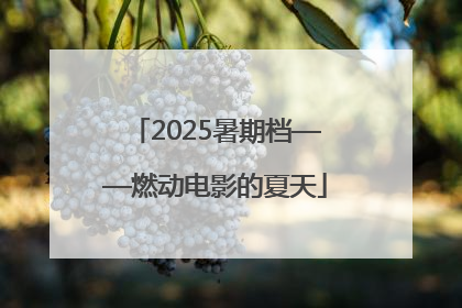2025暑期档——燃动电影的夏天