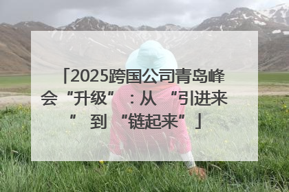 2025跨国公司青岛峰会“升级”：从 “引进来” 到 “链起来”