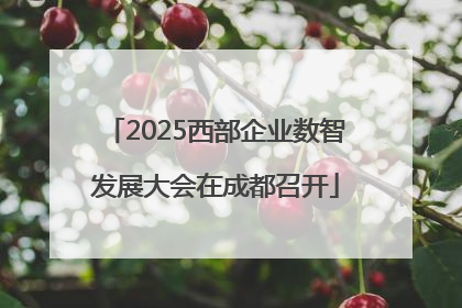 2025西部企业数智发展大会在成都召开
