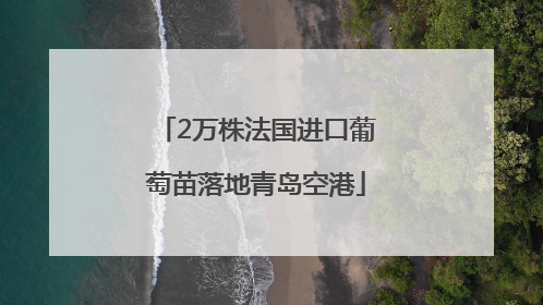 2万株法国进口葡萄苗落地青岛空港