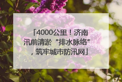 4000公里！济南汛前清淤“排水脉络”，筑牢城市防汛网