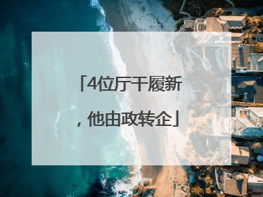 4位厅干履新，他由政转企