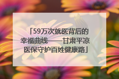59万次就医背后的幸福曲线——甘肃平凉医保守护百姓健康路
