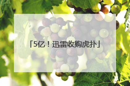 5亿！迅雷收购虎扑