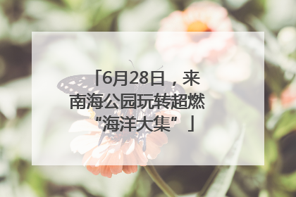 6月28日，来南海公园玩转超燃 “海洋大集”
