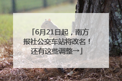 6月21日起，南方报社公交车站将改名！还有这些调整→