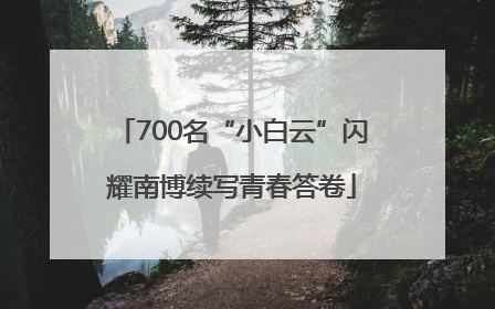 700名“小白云”闪耀南博续写青春答卷