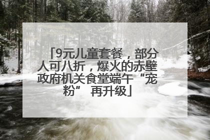 9元儿童套餐，部分人可八折，爆火的赤壁政府机关食堂端午“宠粉” 再升级