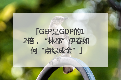 GEP是GDP的12倍，“林都”伊春如何“点绿成金”